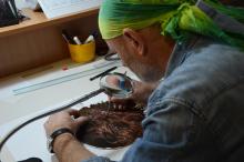 Rézkarc kör lemezen