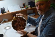 Rézkarc kör lemezen